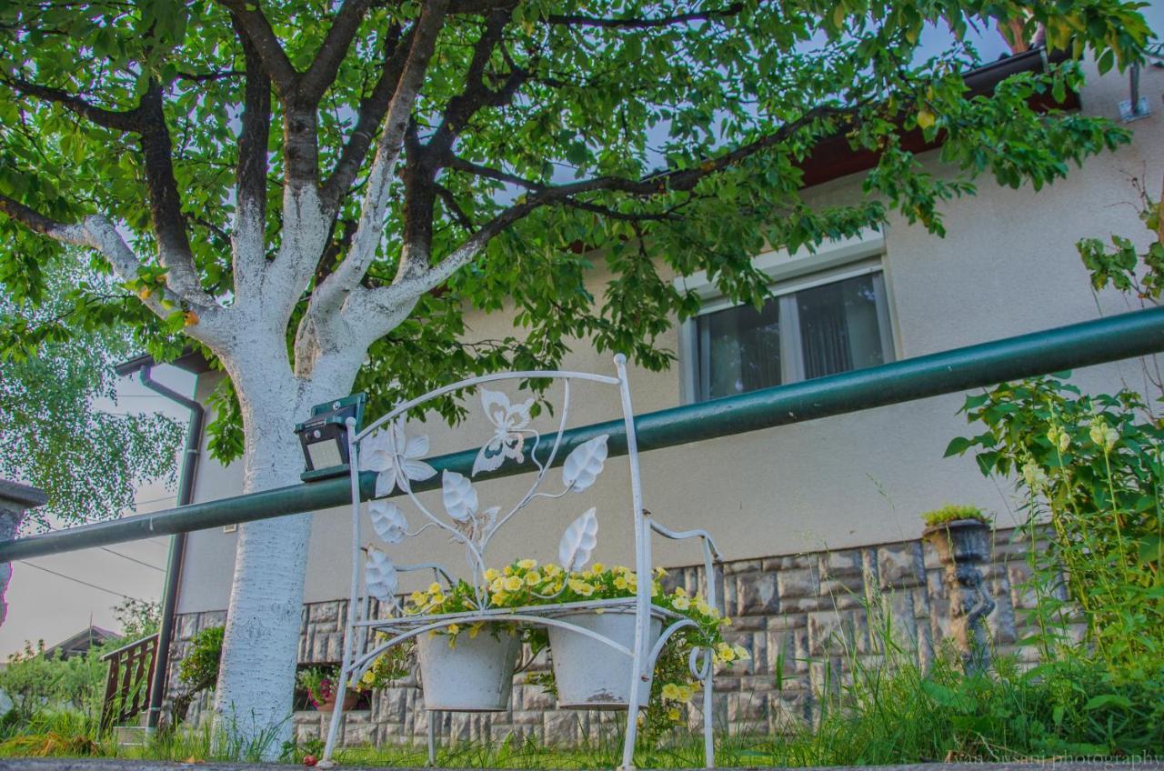Apartment Rasce Ogulin Exterior photo